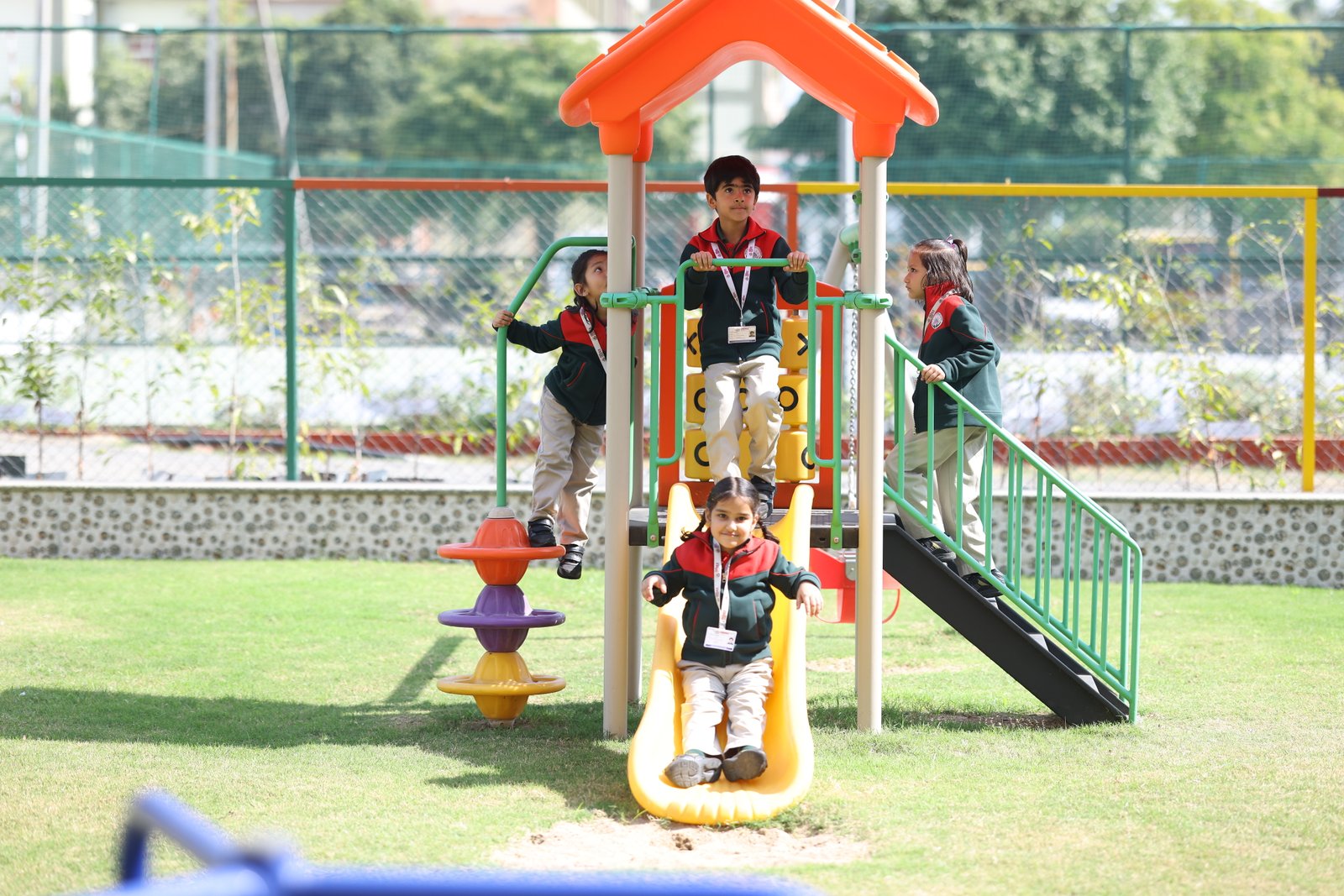 Jungle Gym